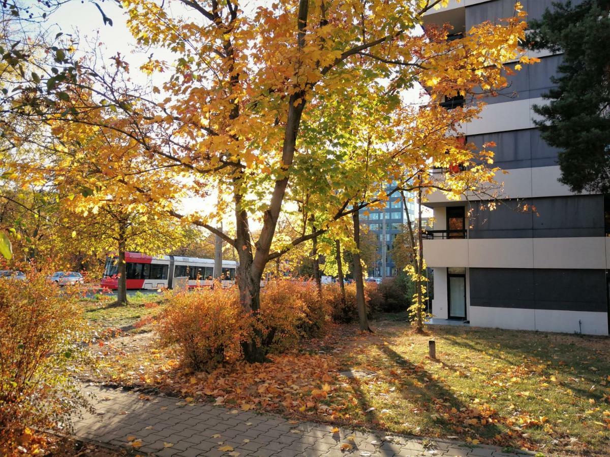Central-Apt At Lake, Citycenter 5Min, Fair 18Min!!! Norimberga Esterno foto